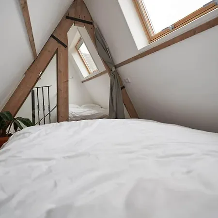 Apartment Well Designed Tiny House At Strijp-s *
